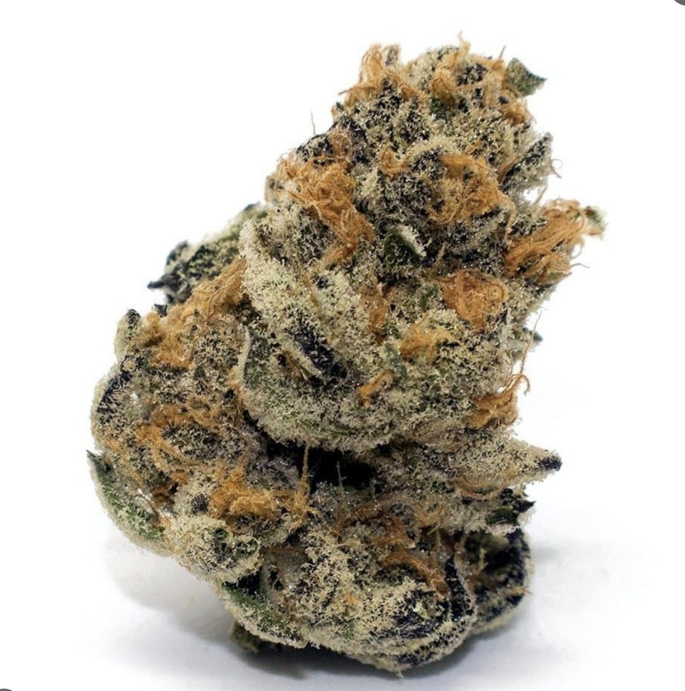 Platinum Cookie